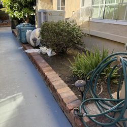 FREE DIRT, PLANTS AND TREE