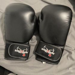 Kickboxing Gloves