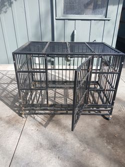 Large Dog Kennel