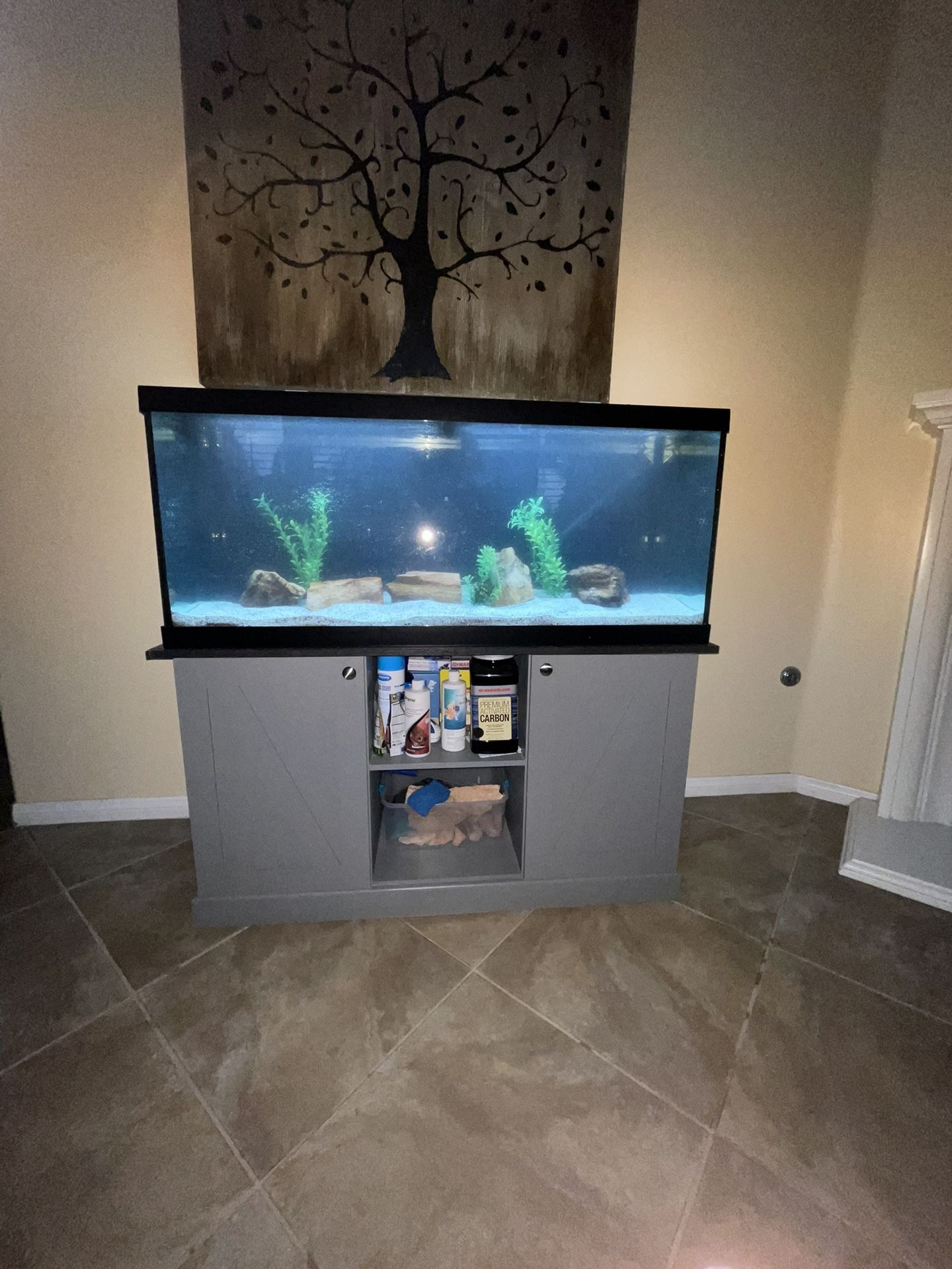 75gal Fish Tank