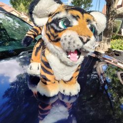 Adorable Tiger 