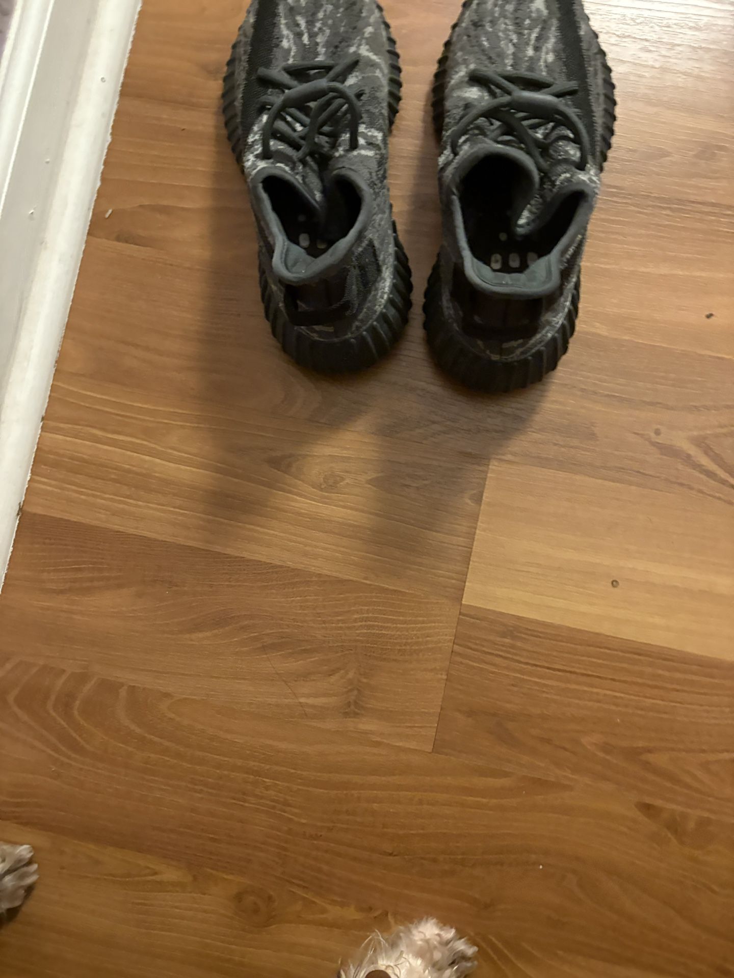 Adidas Yeezy Boost 350 V2 'MX Dark Salt'