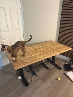 Desk with Oak Butcher Block Top Real Oak 5’ x 30”