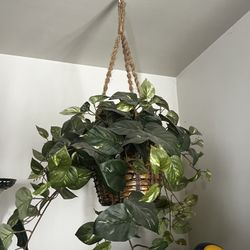 Artificial Hanging Plant. 