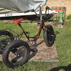 **E - BIKE ** Electric Trik...all Included