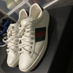 Gucci Ace 