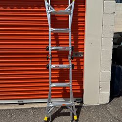 12 Ft Adjustable Ladder