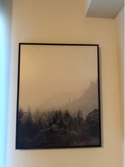 Large Framed Forest Wall Art | Modern Nature Print