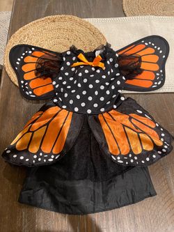 Butterfly costume size 2-3t