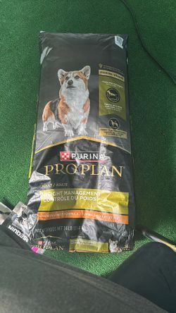 Dog Food Purina