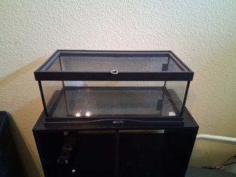 Terrarium
