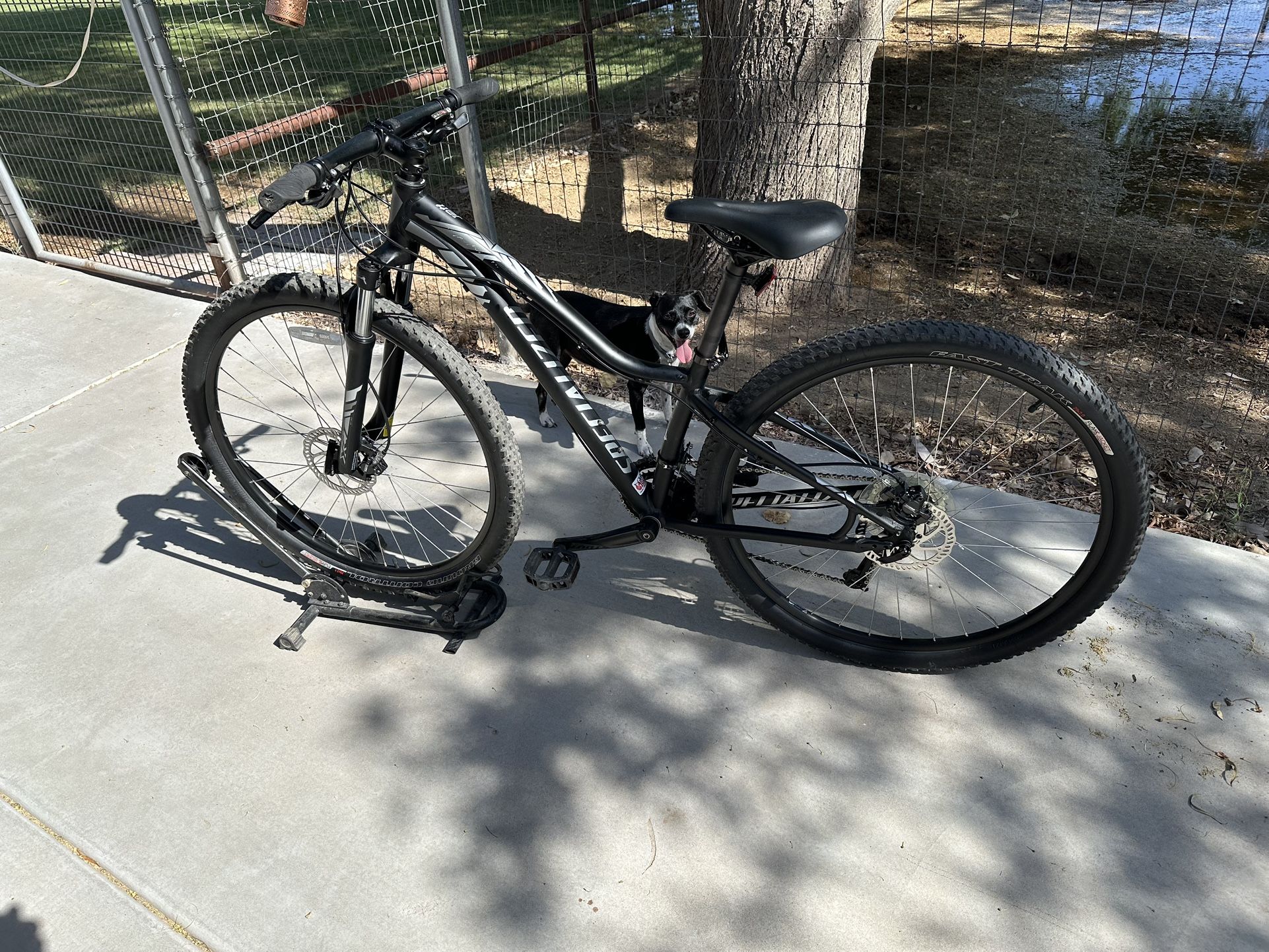 Specialized Jett  29