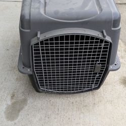 Dog Kennel 