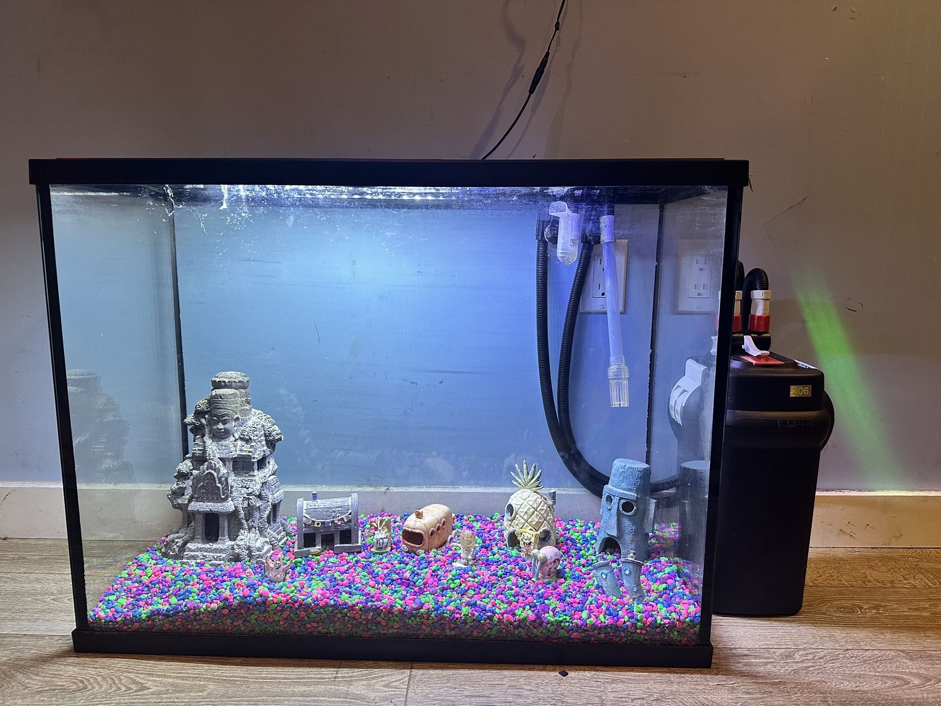 35 Gallon Fishtank With Filter And Decorations!