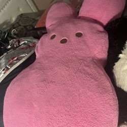 Stuffed animals