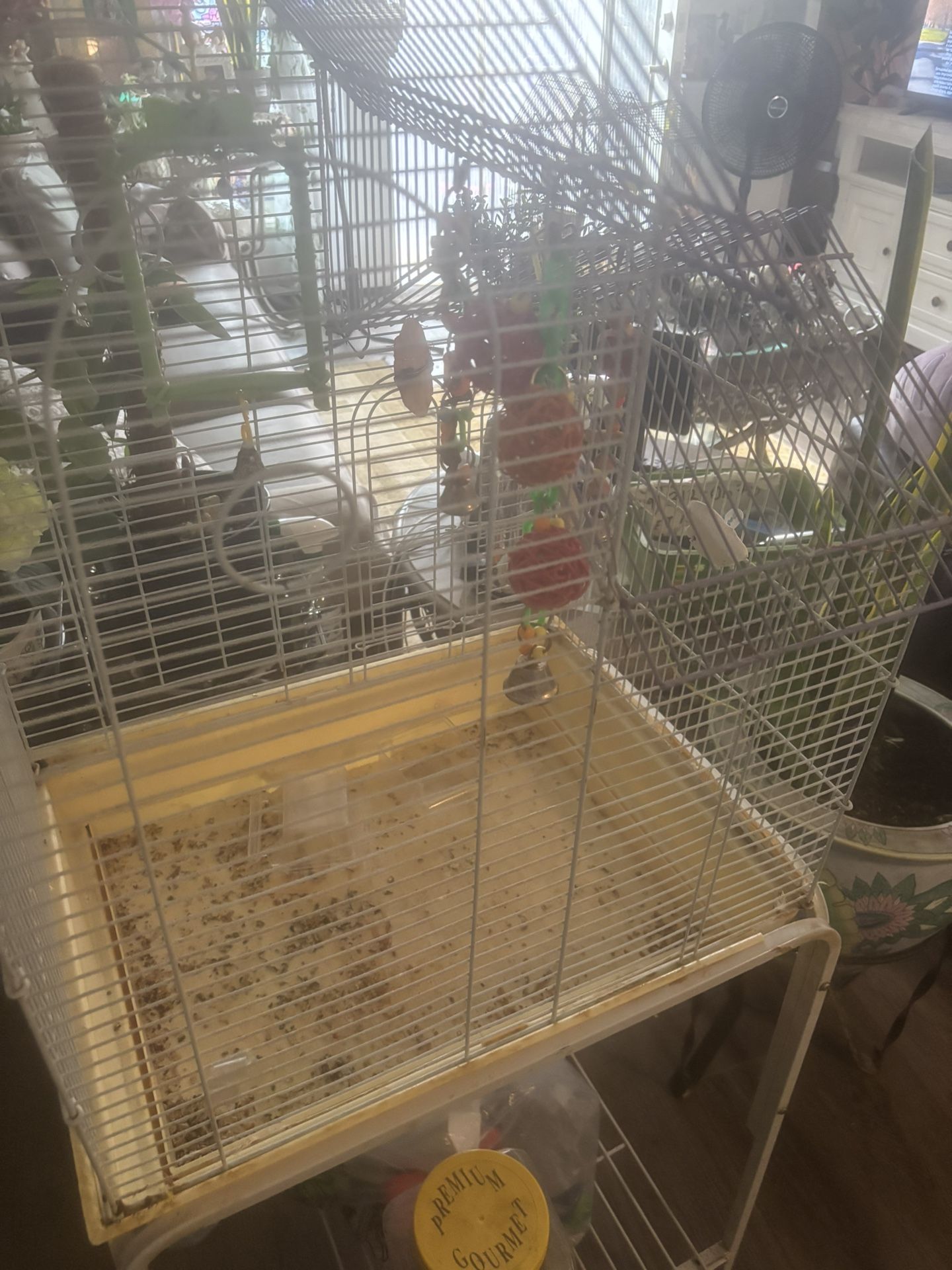 Bird Cage