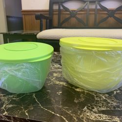 Tubberware Bowls