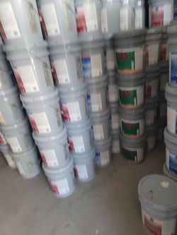 Paint and primer