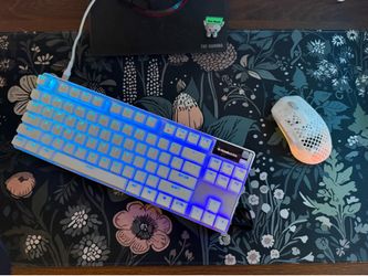 Steel series keyboard & mouse