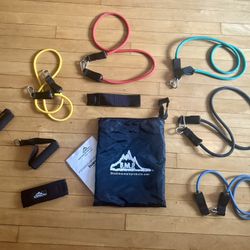 Black Mountain Products Resistance Band Set with Door Anchor, Ankle Strap, Exercise Chart, and Carry
