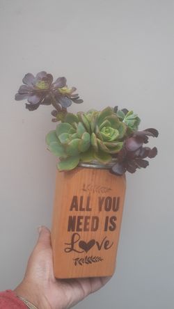 FARMHOUSE Wooden vase Succulents love love succulent??