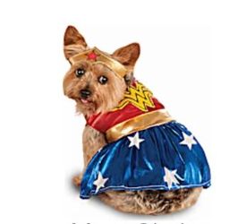 Halloween Dog CostumeS