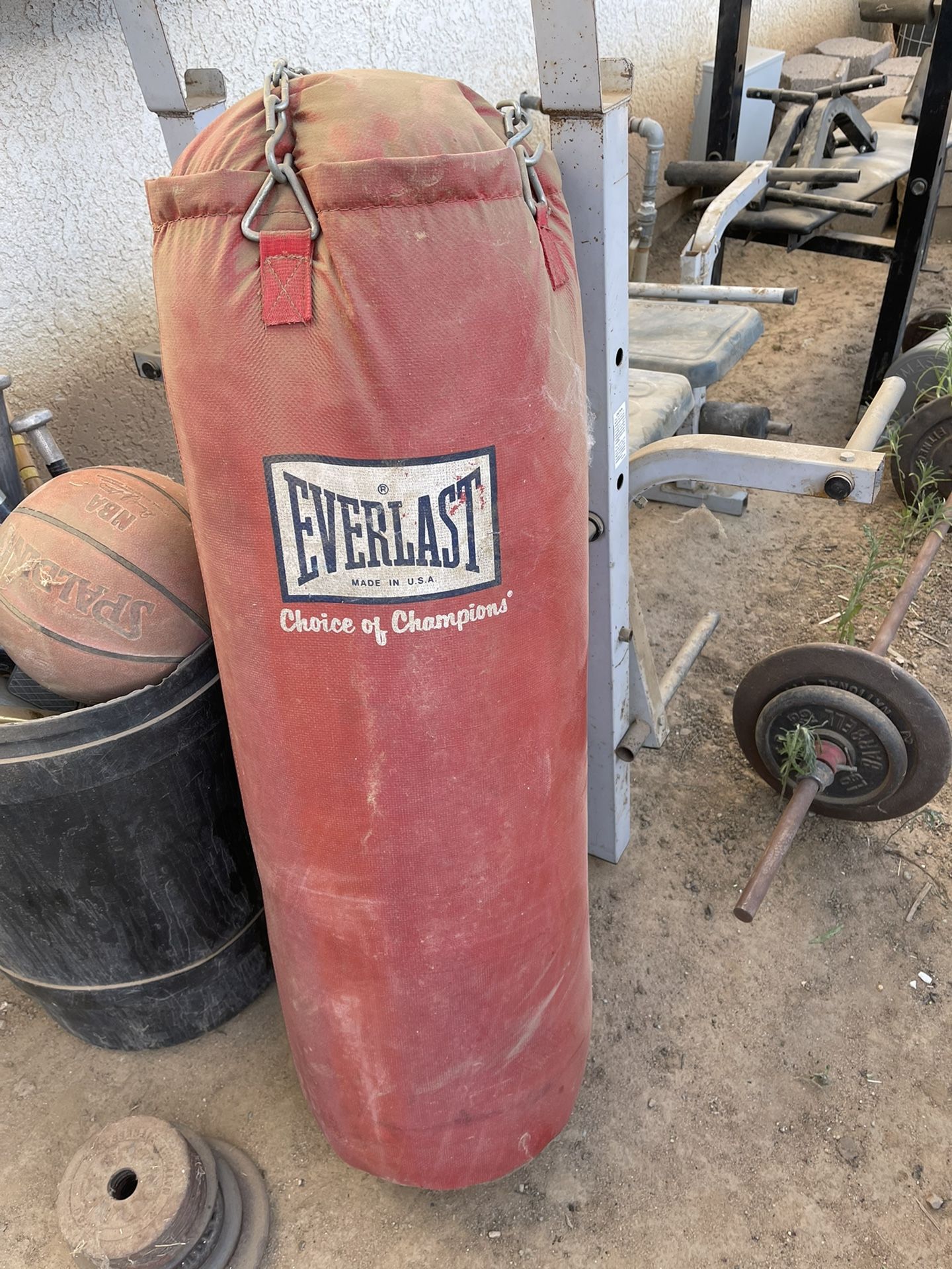 Everlast Punching Bag And Speed Ball Stand