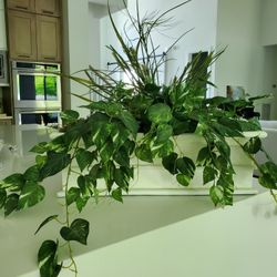 Artificial Plant Arrangement 