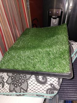 Pet Training Tray 35x23