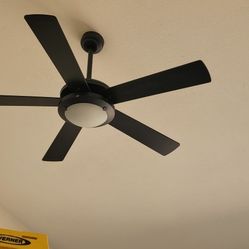 Ceiling Fans