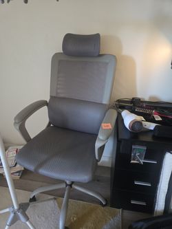 Ergonomic Desk Chair