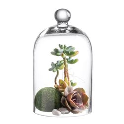 KMwares Clear Glass Display Dome Cloche Bell Jar Tabletop Decorative Case Covered Plants/Food (Medium)