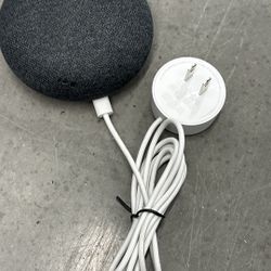 Google Home Mini
