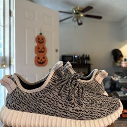 Yeezy boost 350 Turtle dove