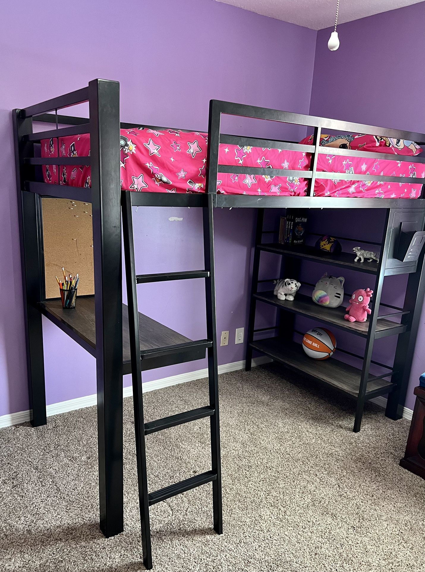 Twin Sized Loft Bed With Desk & Bookshelves