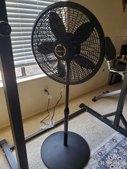 Fan