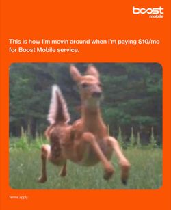 Free phone free service