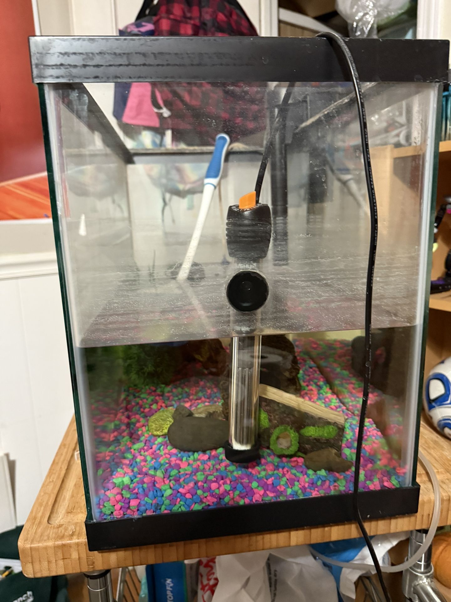20 Gallon Fish Tank