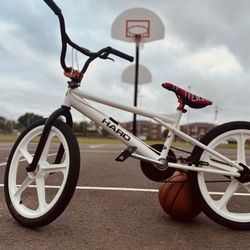Haro Shredder Custom