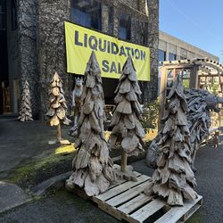 MEGA SALE! Driftwood Teak Trees Multiple sizes ( + 20%  OFF )
