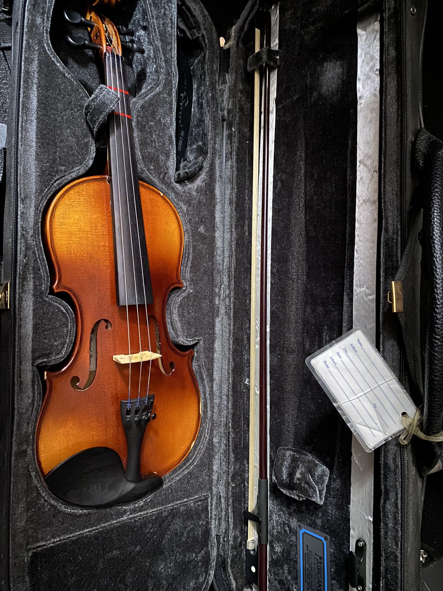 Damaged Violin 