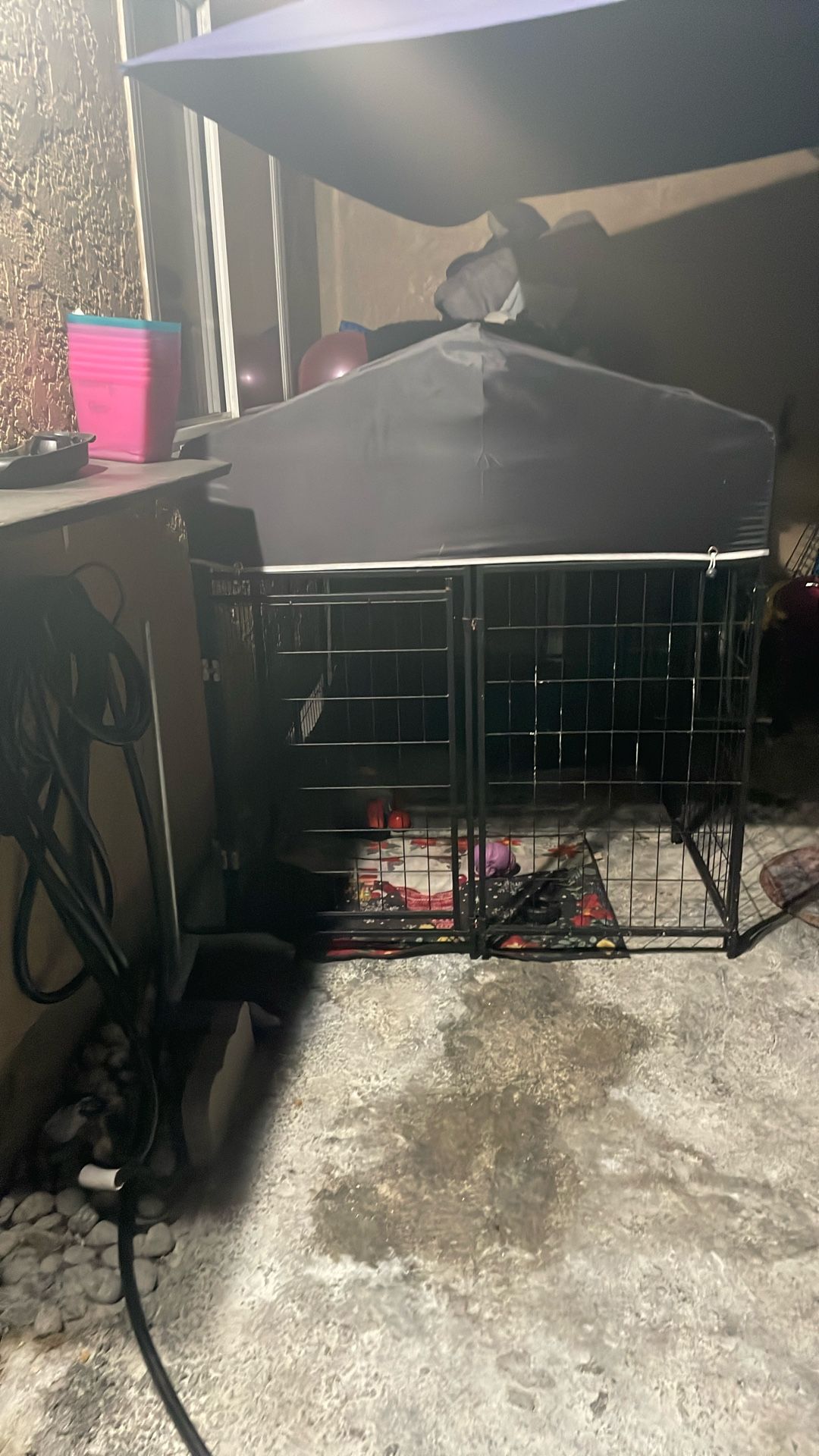 Cain Corso Cage 