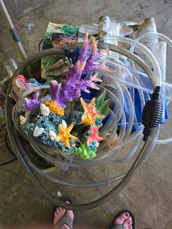 dont have fish anymore selling for cheap