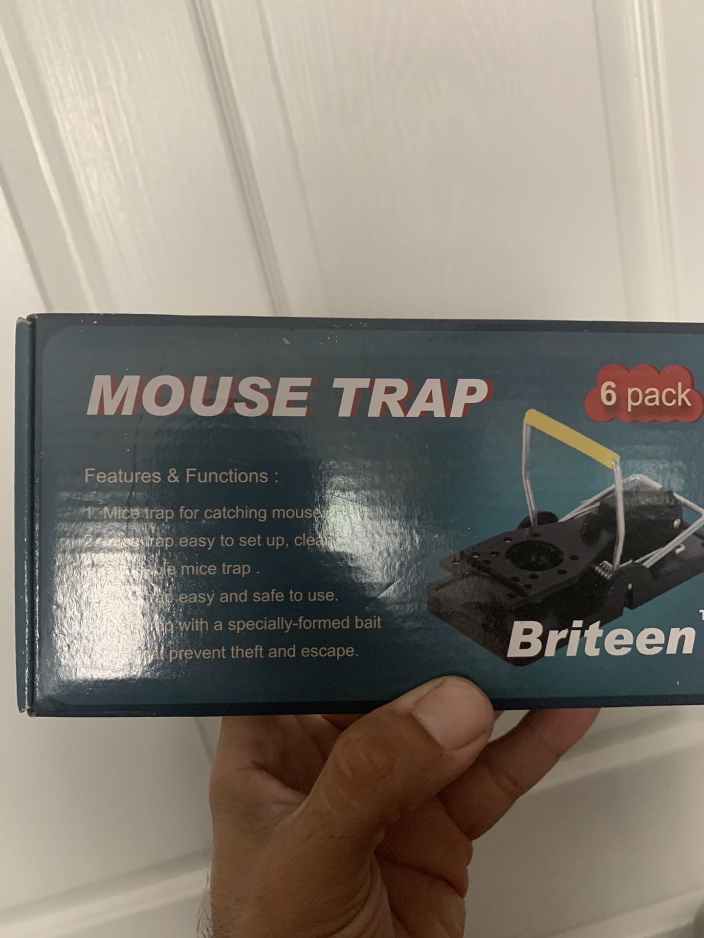 Mouse traps 6 pack