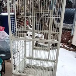 Bird Cage