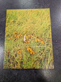 Original 1969 Woodstock program booklet