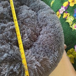 Nice Cozy Medium Size Dog Bed 