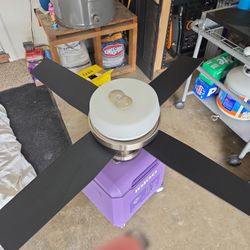 Hunter Celing Fan With Remote And Light