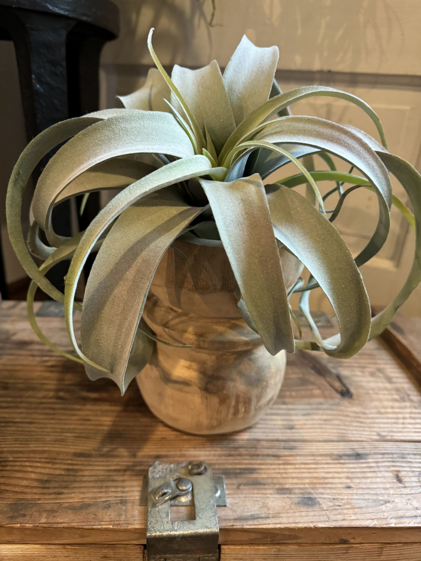 Wood Pedestal With Faux Air Plant