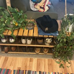 Shoe Rack /bench